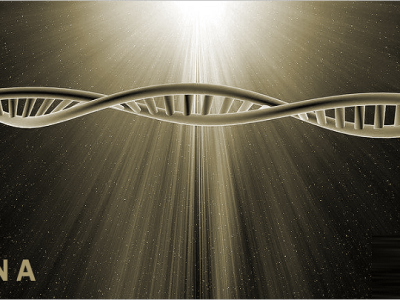 God Honored My Belief In His&nbsp;Word